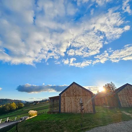 Chata W Bieszczadzie Apartamenty I Domki Z Sauna Bieszczady Polanczyk Luaran gambar