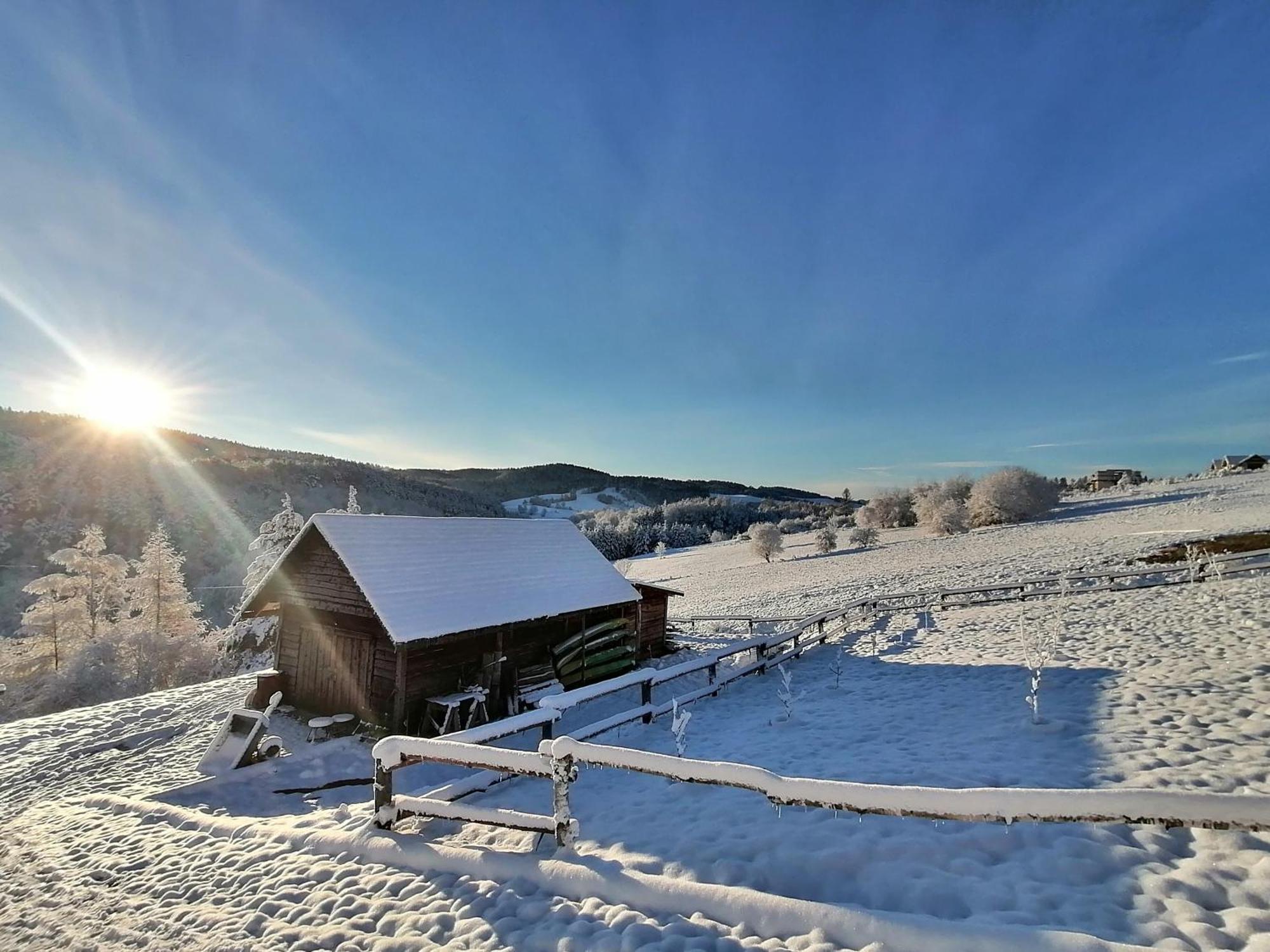 Chata W Bieszczadzie Apartamenty I Domki Z Sauna Bieszczady Polanczyk Luaran gambar