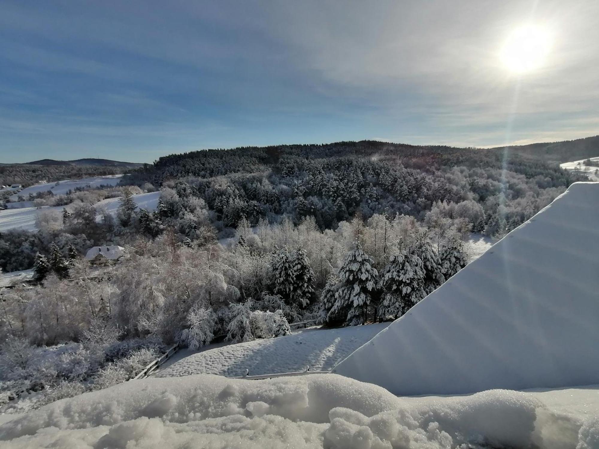 Chata W Bieszczadzie Apartamenty I Domki Z Sauna Bieszczady Polanczyk Luaran gambar