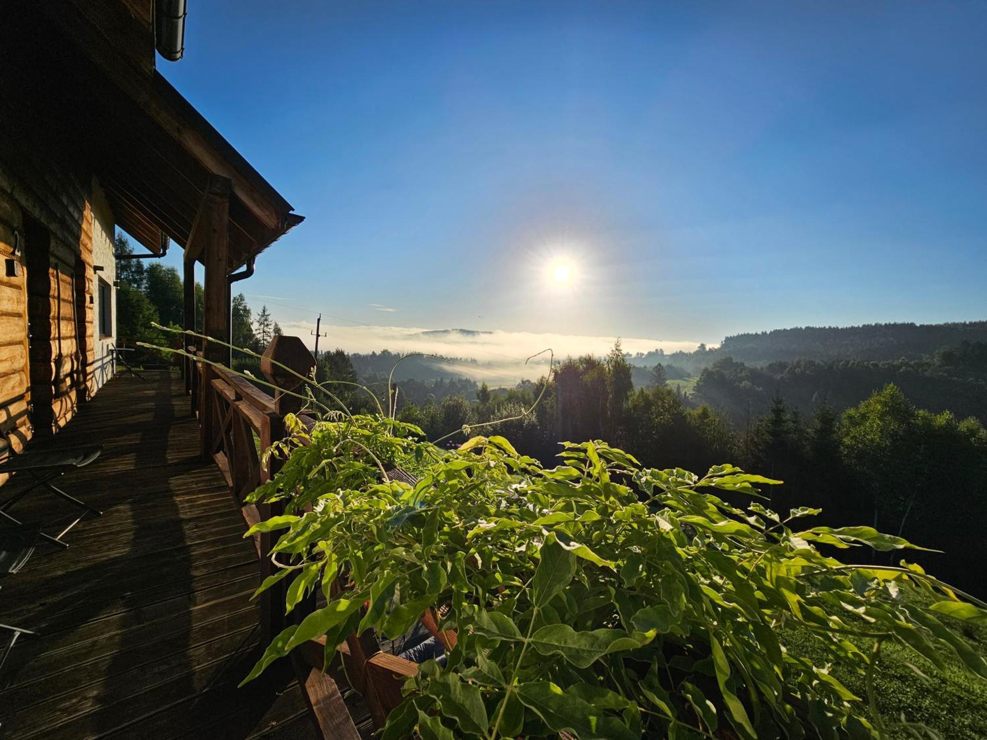 Chata W Bieszczadzie Apartamenty I Domki Z Sauna Bieszczady Polanczyk Luaran gambar