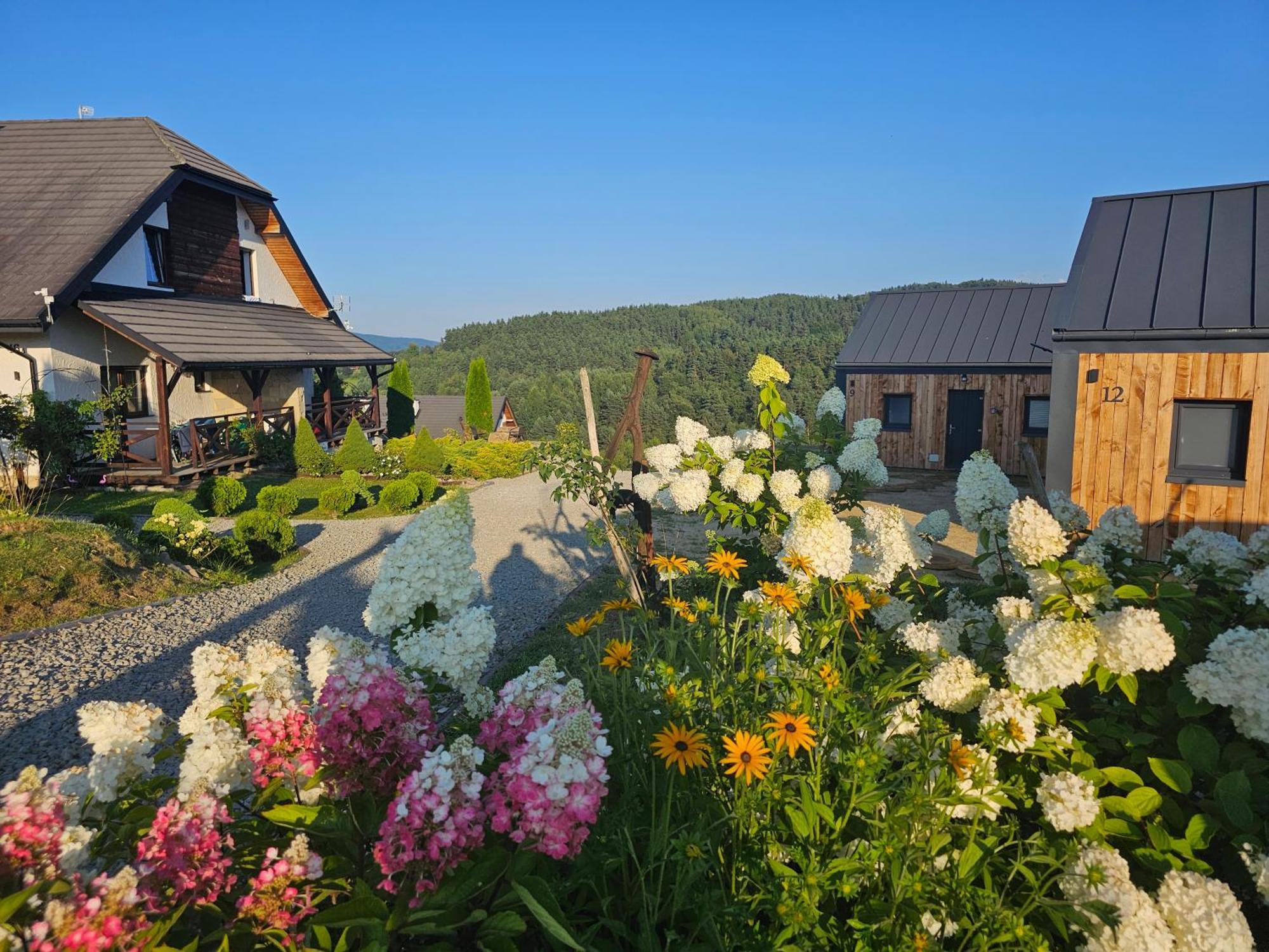 Chata W Bieszczadzie Apartamenty I Domki Z Sauna Bieszczady Polanczyk Luaran gambar