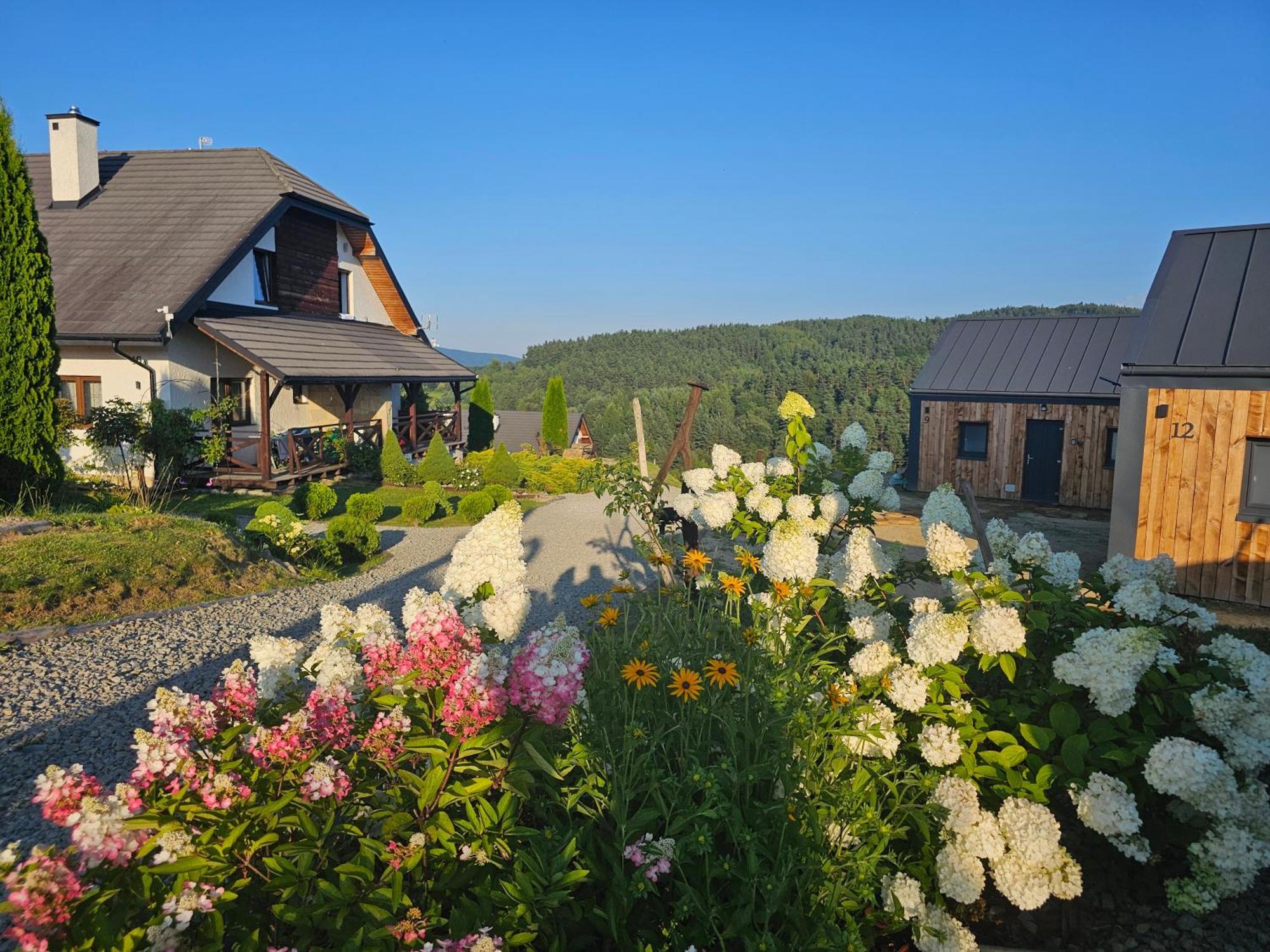 Chata W Bieszczadzie Apartamenty I Domki Z Sauna Bieszczady Polanczyk Luaran gambar