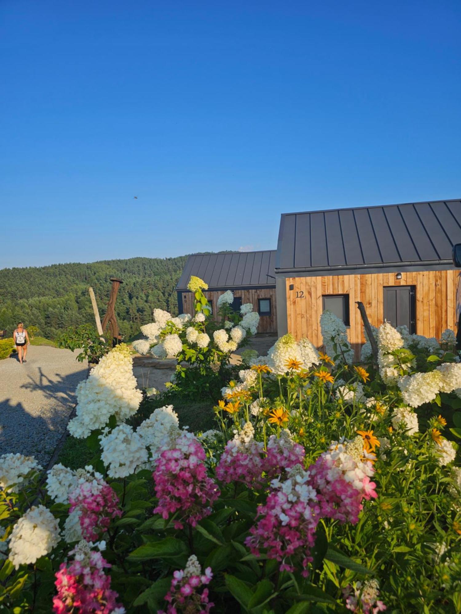 Chata W Bieszczadzie Apartamenty I Domki Z Sauna Bieszczady Polanczyk Luaran gambar